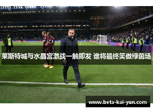 莱斯特城与水晶宫激战一触即发 谁将最终笑傲绿茵场