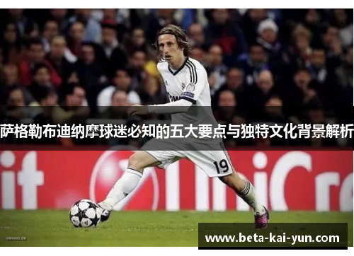 萨格勒布迪纳摩球迷必知的五大要点与独特文化背景解析