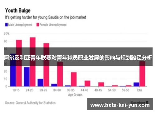 阿尔及利亚青年联赛对青年球员职业发展的影响与规划路径分析
