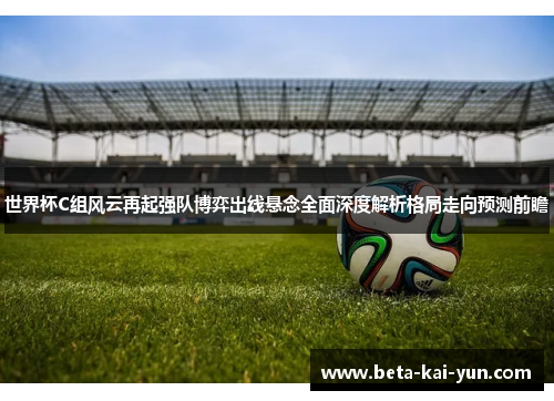 世界杯C组风云再起强队博弈出线悬念全面深度解析格局走向预测前瞻